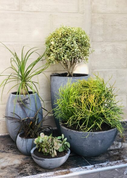 Beautiful Landscaping's Design