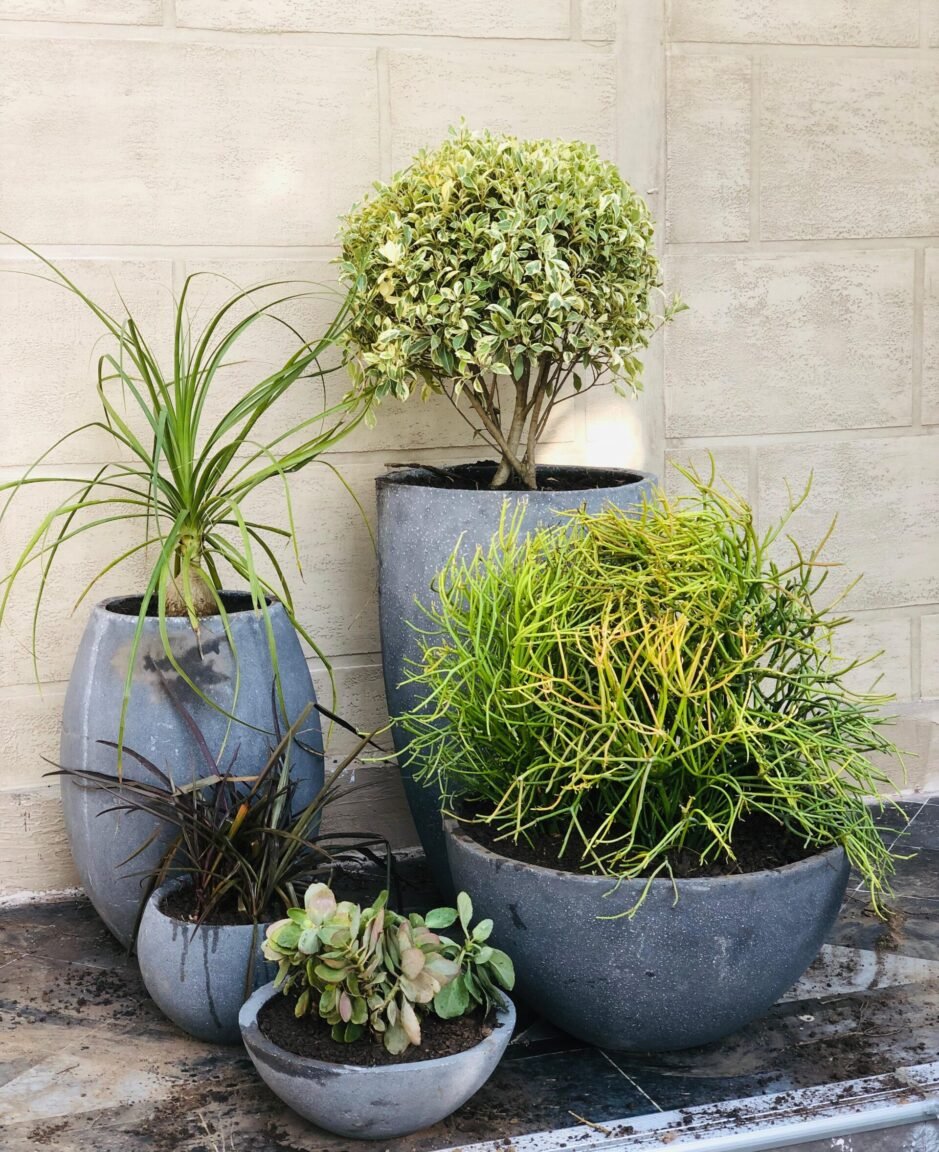 Beautiful Landscaping's Design